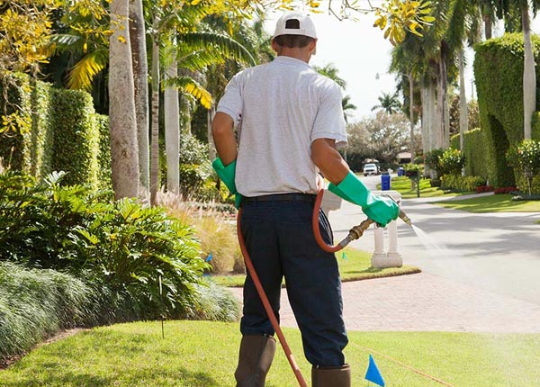 About Malcom IA Pest Control